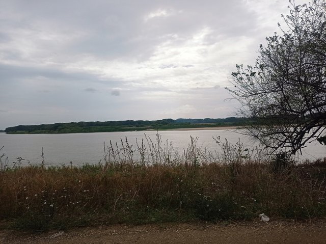 IMG_20250405_091930.jpg