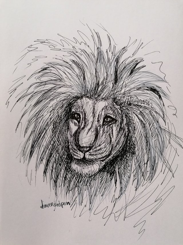 lion pen (1).jpg