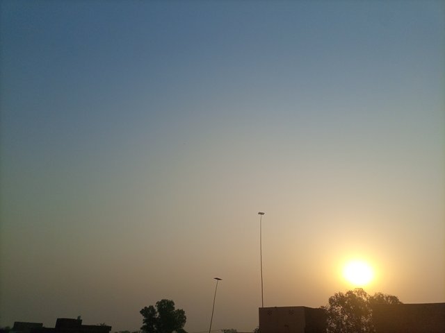 IMG_20250430_060848_929.jpg