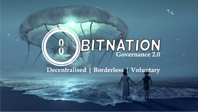 bitnation kit 5.png