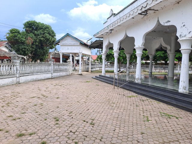 20250427_172345.jpg