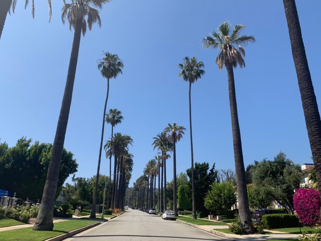 Beverly Hills10.jpg