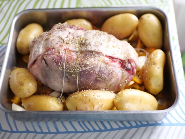 epauleagneau (4).JPG