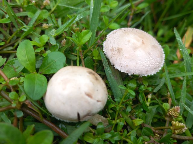 20250414_080506.jpg