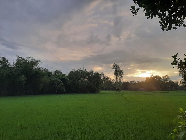 20230924_173942.jpg