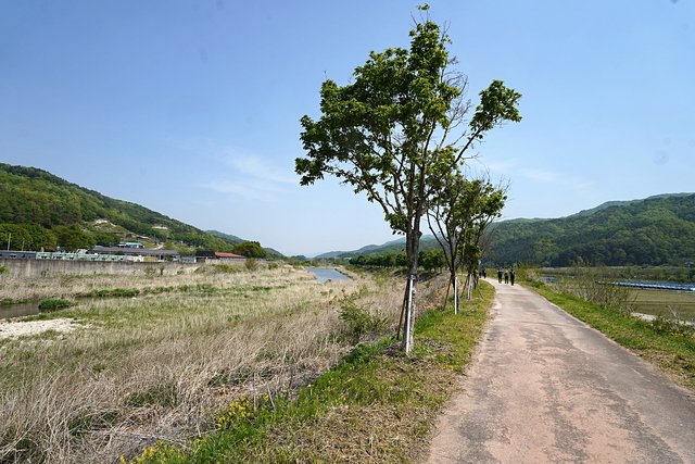 b-DSC00990.JPG