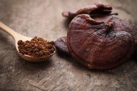 Global Reishi Mushroom Extract Market.jpg