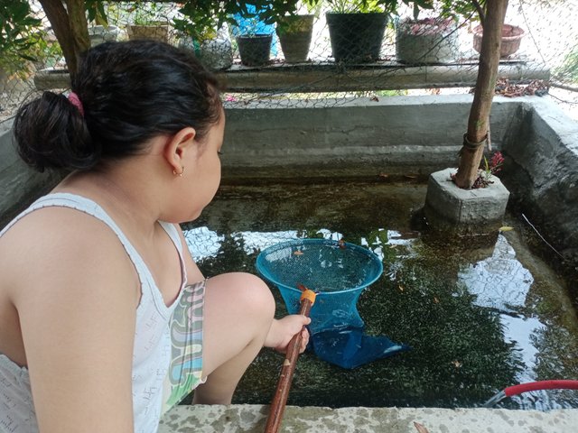 IMG20250707163207.jpg