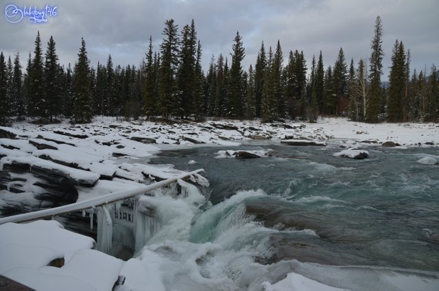 athabasca falls13.jpg