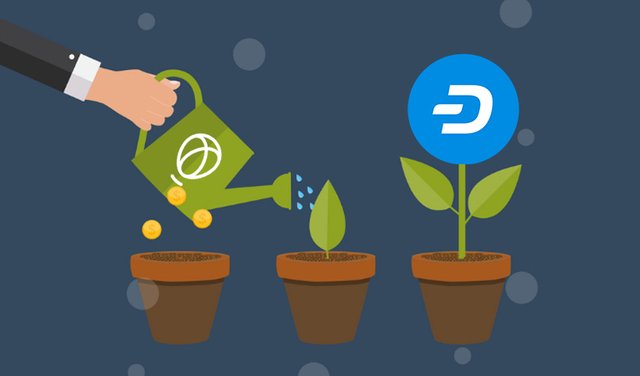 Dash-Leads-Cryptocurrency-Growth-on-Uphold.jpg