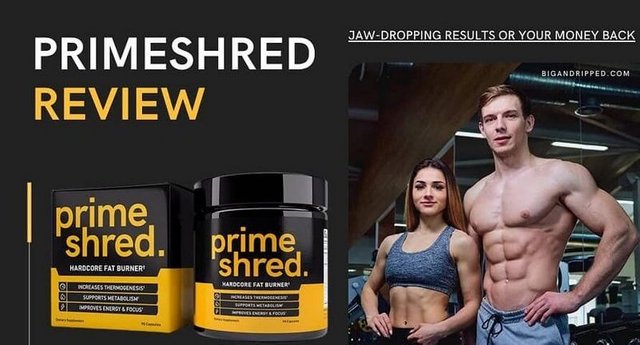 Prime-Shred-Reviews.jpg