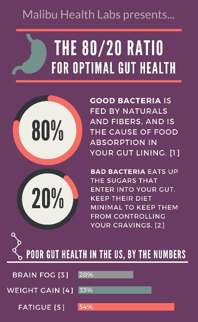 20_Ratio_for_Optimal_Gut_Health_2_2048x2048_crop_400x648.png