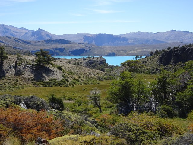 DSC00270 sendero costa Sur lago Belgrano.JPG