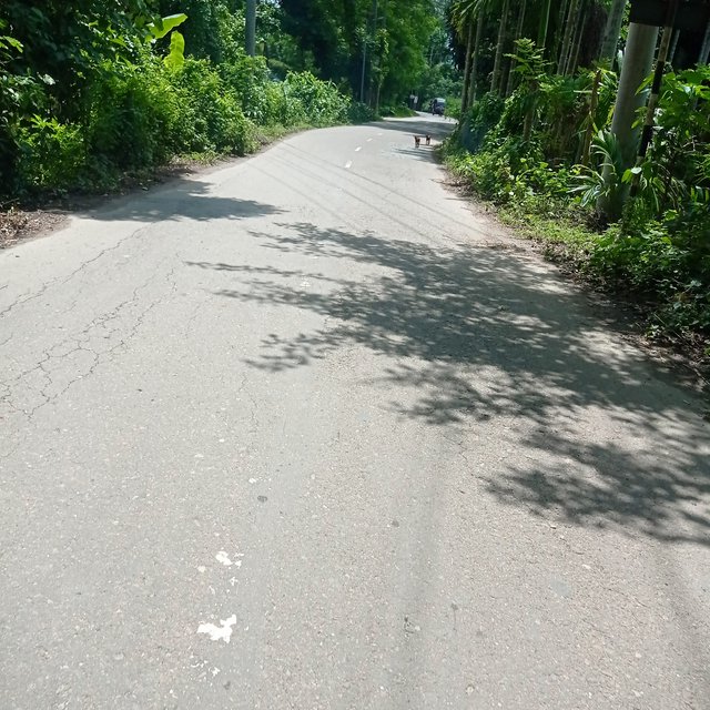 IMG_20250915_121156.jpg