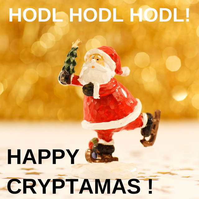 HODL HODL HODL.png