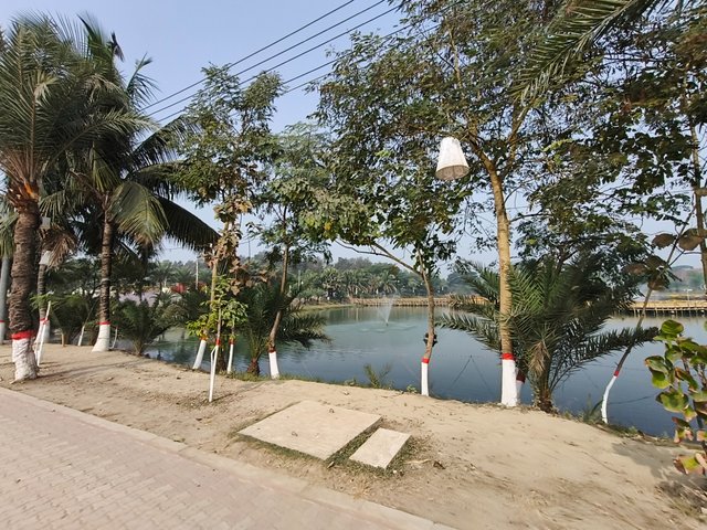 1000203574.jpg