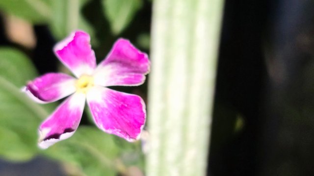 20250706_021714.jpg