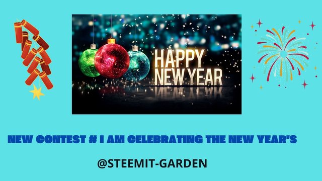 NEW CONTEST # I AM CELEBRATING THE NEW YEAR'S.jpg