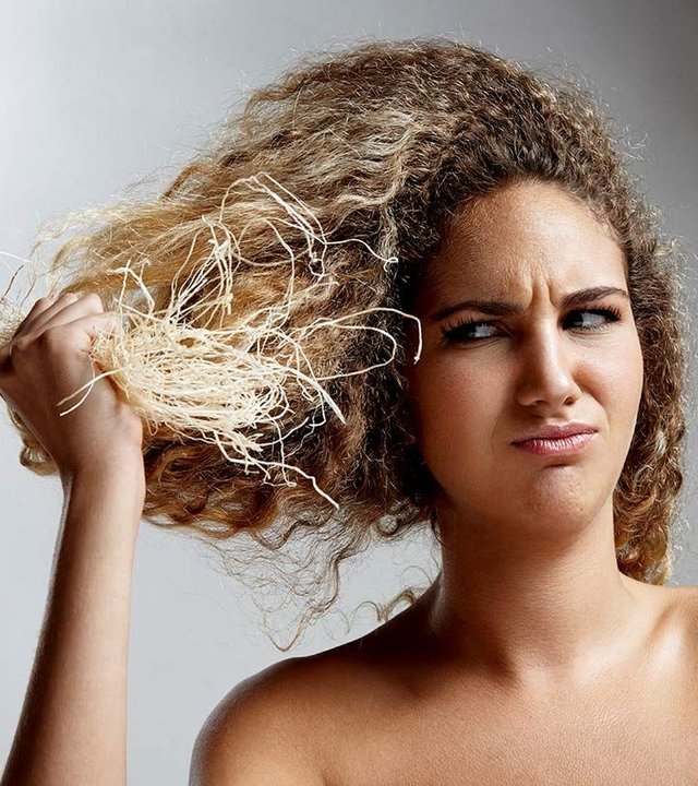 Try 3 Olive Oil Masks To Combat Dry Hair.jpg