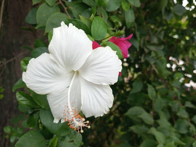 IMG_20250909_131432_377.jpg