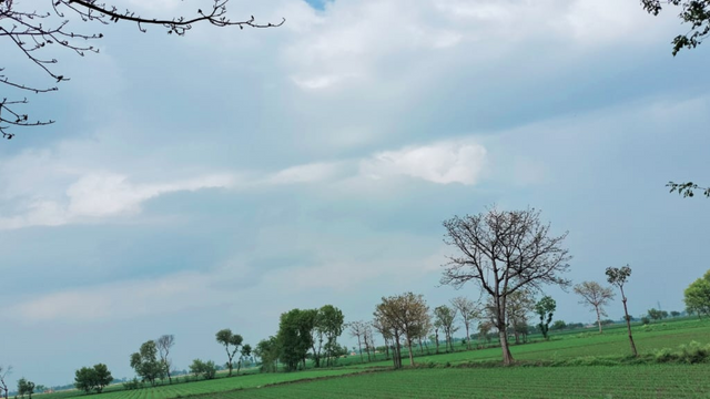 Untitled design (41).png