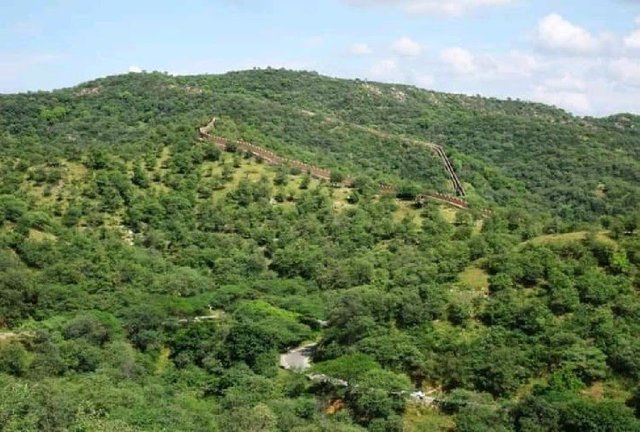 aravalli-hills_1628316561.jpeg