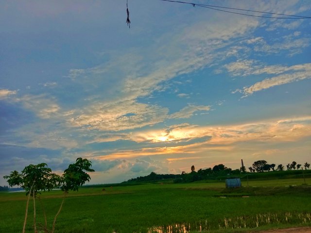IMG_20250813_102721.jpg