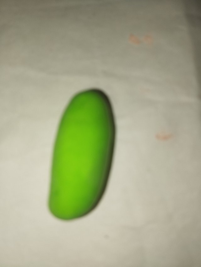 1000031044.jpg