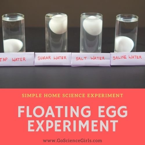 Floating_Egg_Density_Science_Experiment.jpg