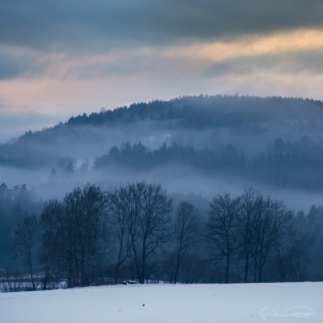 2019-02-03-Foggy-Hill-01.jpg