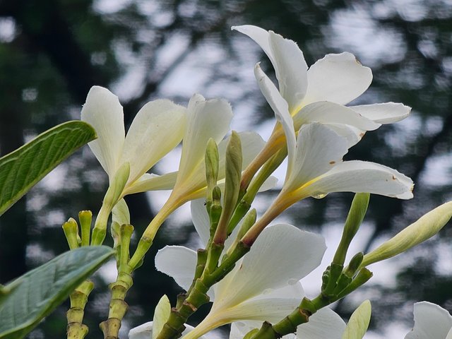 20250621_162306.jpg