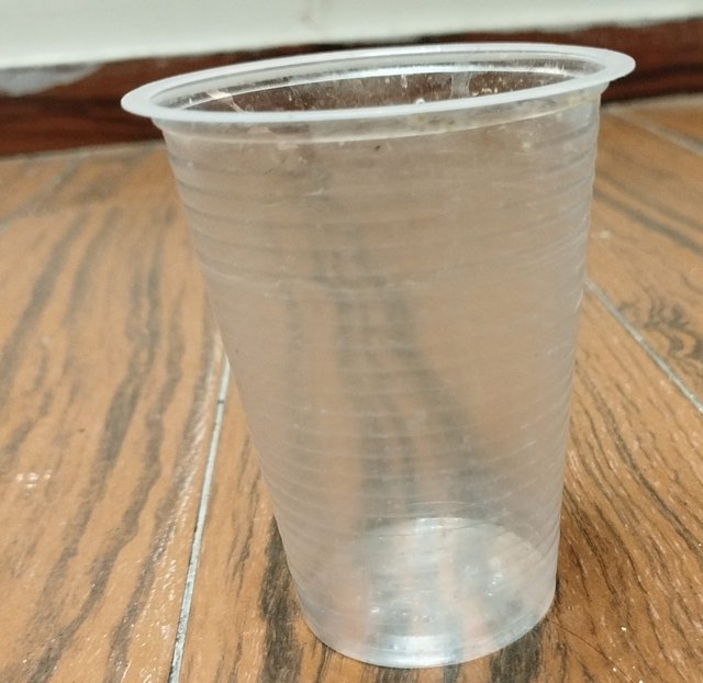 1000062721.jpg