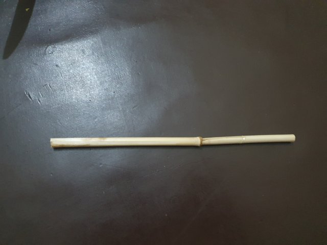 20250424_145041.jpg