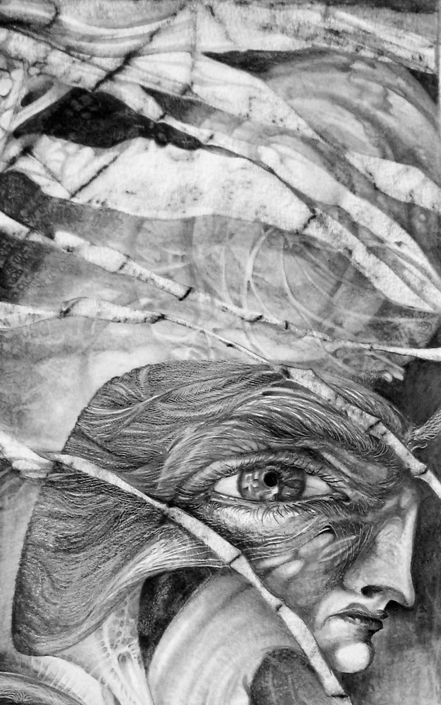 THE EYE OF THE FOMORII - REGROUPING FOR THE BATTLE -greyscale-detail4WEB1600.jpg