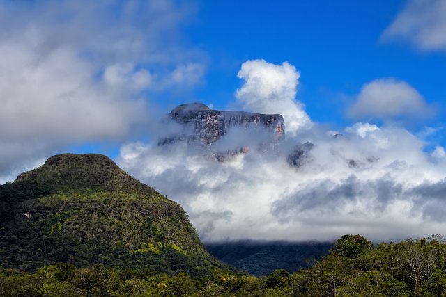 Monumento natural Cerro Autana.jpg