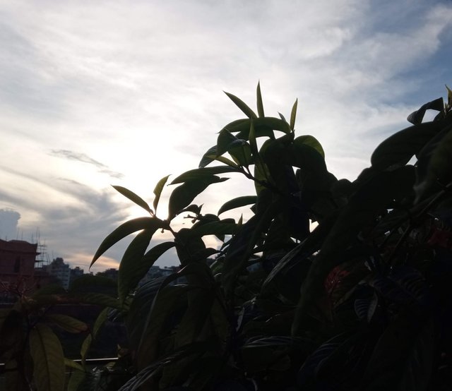 20240422_234127.jpg