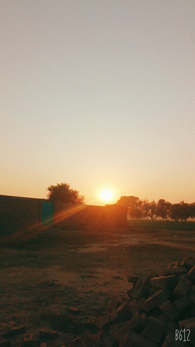 B612_20211130_164140_231.jpg