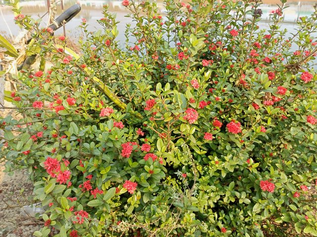 IMG20241214144205.jpg
