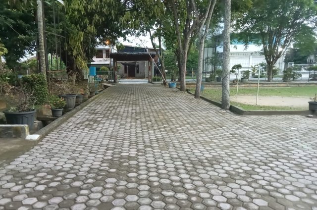 1000213694.jpg