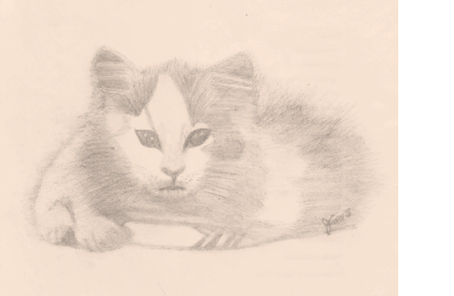 Dibujo de un gatito lindo2.png