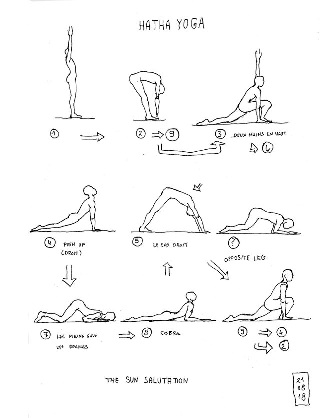 10+ Sun Salutation Diagram | Yoga Poses