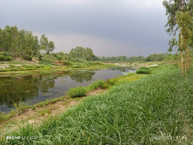IMG-20250428-WA0007.jpg