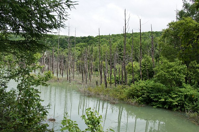 Japan-Hokkaido12802-188.jpg