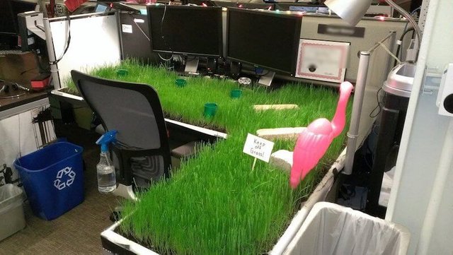 office-pranks.jpg