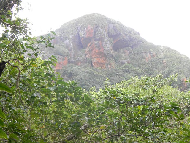 cima_cerro_gde.jpg