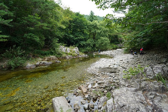 b-DSC00085.JPG