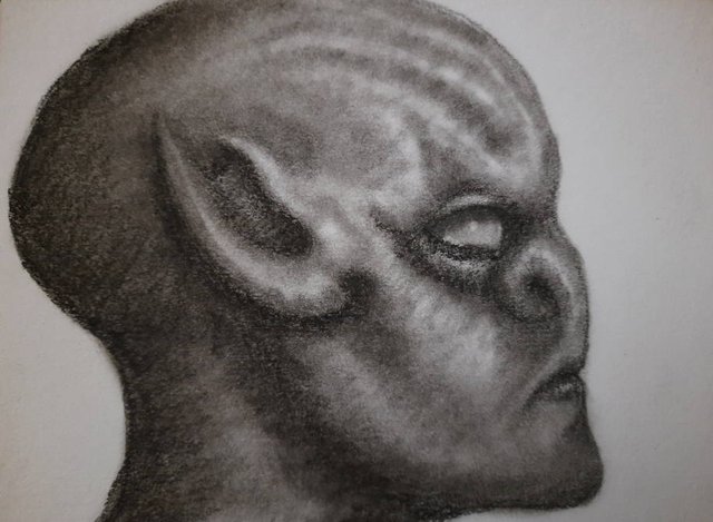 20250721_111553.jpg