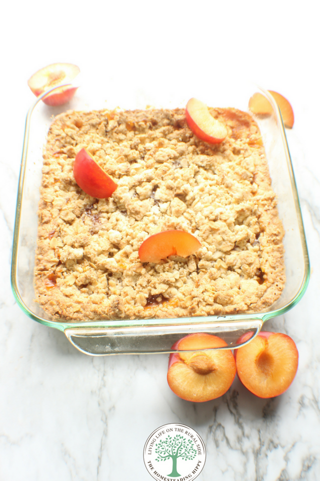 apricot oat bars pin 4.png