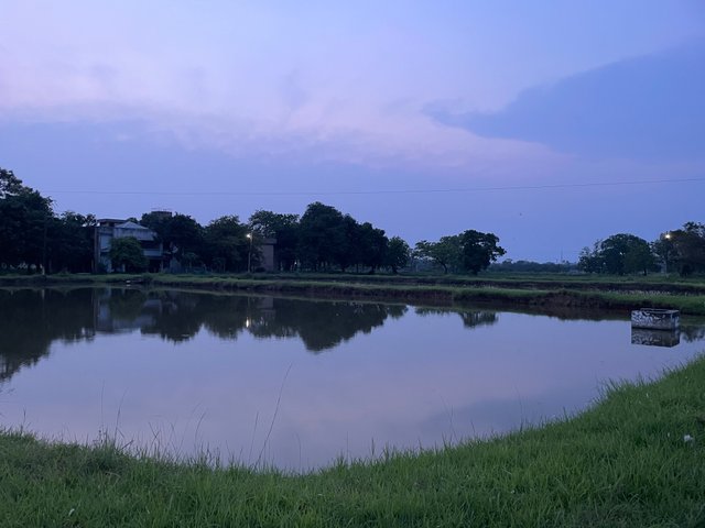 IMG_3137.jpeg