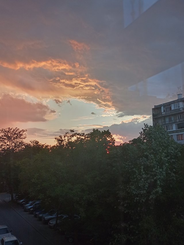IMG_20250720_203507.jpg